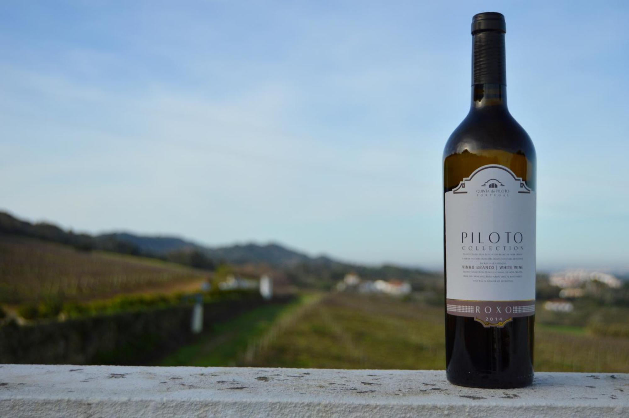 帕尔梅拉 Quinta Do Piloto旅馆 外观 照片