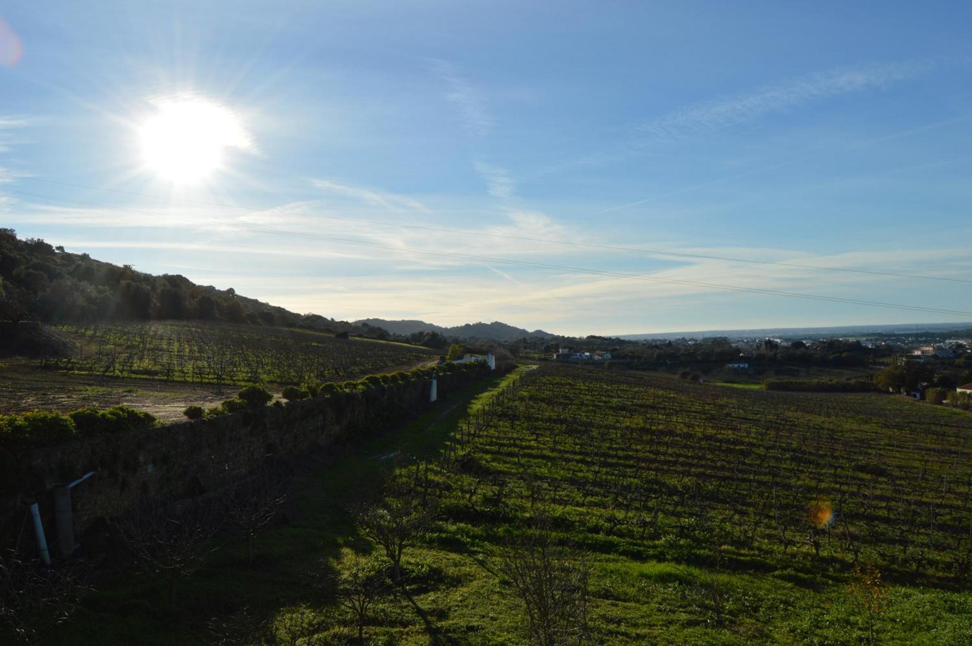 帕尔梅拉 Quinta Do Piloto旅馆 外观 照片
